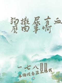 狗撒尿有血是怎么回事啊