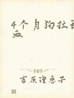 4个月狗拉稀带血