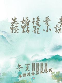 先婚后爱 老公轻点宠小说