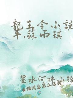 龙王令小说,陈平,苏雨琪