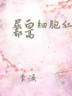 尿白细胞红细胞都高