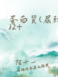 蛋白质(尿干化)2+