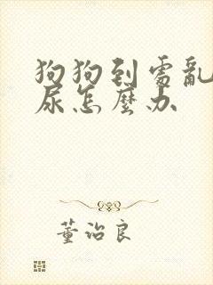 狗狗到处乱拉乱尿怎么办