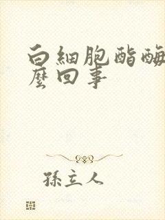 白细胞酯酶是怎么回事