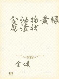 分泌物黄绿色豆腐渣状