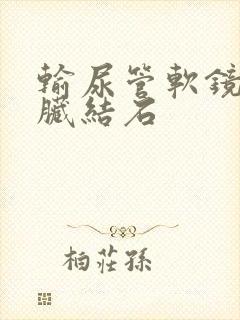 输尿管软镜取肾脏结石