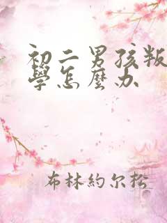 初二男孩叛逆厌学怎么办