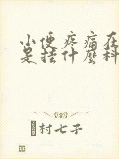 小便疼痛在医院是挂什么科