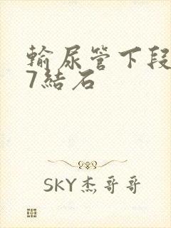 输尿管下段0.7结石