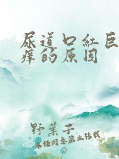 尿道口红巨肿发痒的原因