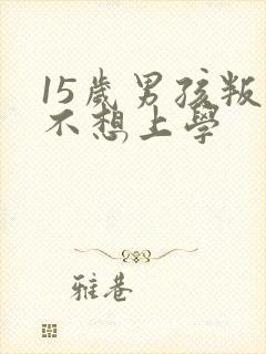 15岁男孩叛逆不想上学