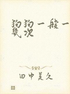 狗狗一般一天尿几次