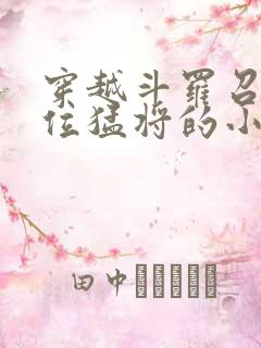 穿越斗罗召唤百位猛将的小说