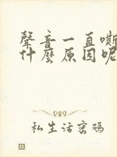 声音一直嘶哑是什么原因呢