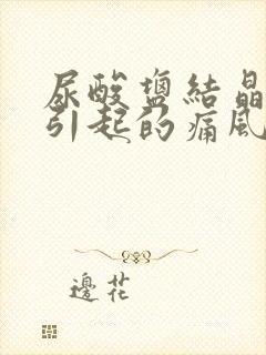 尿酸盐结晶沉积引起的痛风