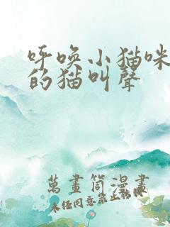 呼唤小猫咪出来的猫叫声