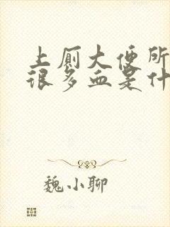 上厕大便所拉出很多血是什么情况女性