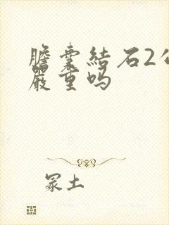 胆囊结石2公分严重吗