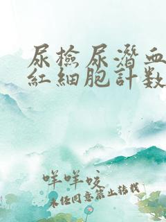 尿检尿潜血3+红细胞计数特别高