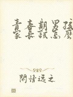 青春期男孩叛逆家长该怎么办