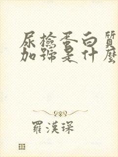 尿检蛋白质3个加号是什么意思