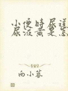 小便时尿道刺痛尿液黄是怎么回事