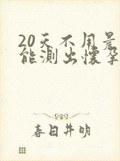 20天不用晨尿能测出怀孕吗