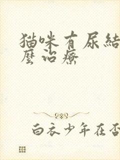 猫咪有尿结石怎么治疗