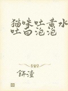 猫咪吐黄水后又吐白泡泡