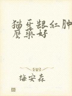 猫牙龈红肿吃什么药好