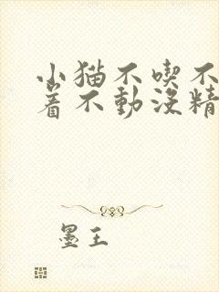 小猫不吃不喝趴着不动没精神