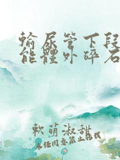 输尿管下段结石能体外碎石吗