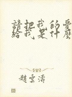 请把我的爱情还给我是什么歌