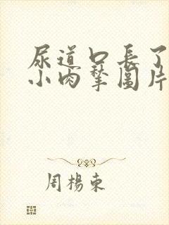 尿道口长了一个小肉揪图片