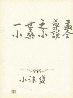 一世之尊孟奇顾小桑小说全篇