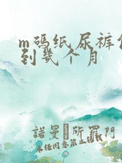 m码纸尿裤能穿到几个月