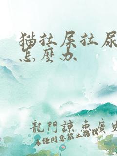 猫拉屎拉尿乱拉怎么办