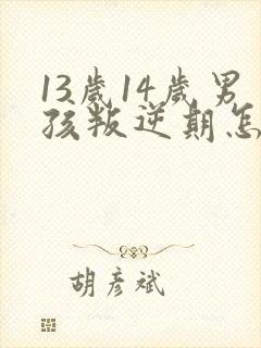 13岁14岁男孩叛逆期怎么办