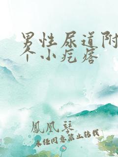 男性尿道附近长个小疙瘩