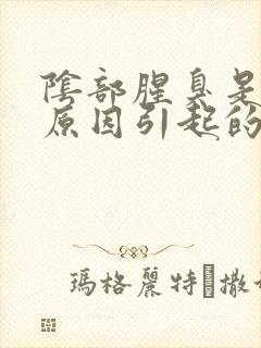 阴部腥臭是什么原因引起的