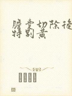 胆囊切除后尿液特别黄