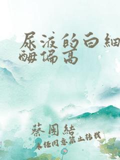 尿液的白细胞酯酶偏高