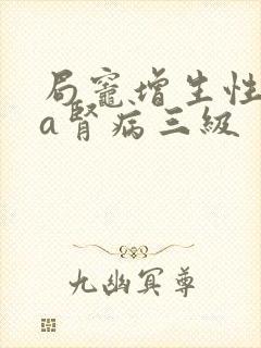 局灶增生性iga肾病三级