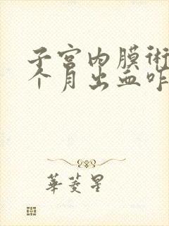 子宫内膜术后半个月出血咋回事