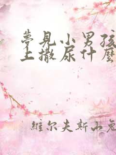 梦见小男孩在床上撒尿什么意思