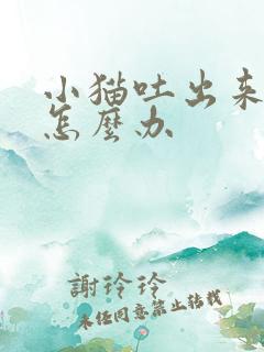 小猫吐出来黄水怎么办