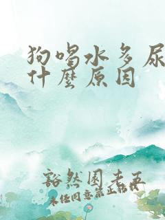 狗喝水多尿多是什么原因