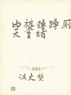 内裤掉蹲厕过几天会堵