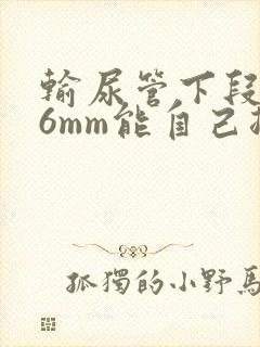 输尿管下段结石6mm能自己排出来吗