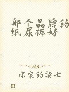 哪个品牌的婴儿纸尿裤好